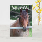 古いロバのバースデー・カード カード (黄色い花)