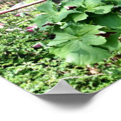 古いワゴンホイールトリリアムフラワーガーデン ポスター (角)