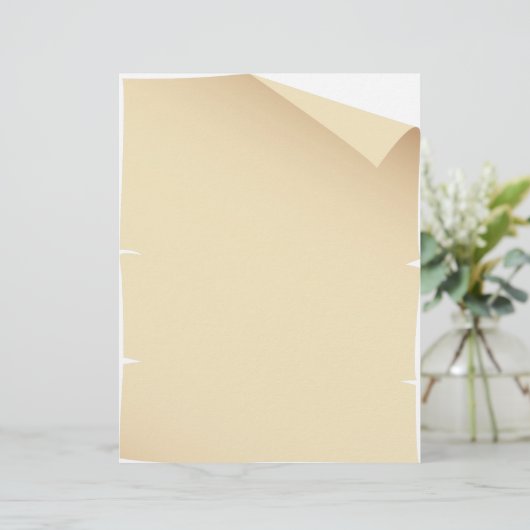 古いヴィンテージ紙 (スタンド正面)