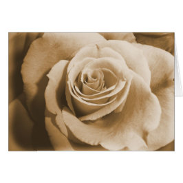 古い上がりました