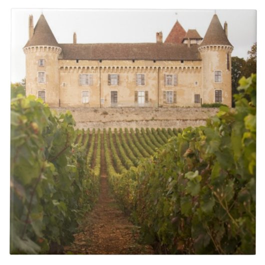 古い中世のシャトー·ド·ルリー·イン·ザ·コート タイル (正面)