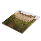 古い中世のシャトー·ド·ルリー·イン·ザ·コート タイル (側面)