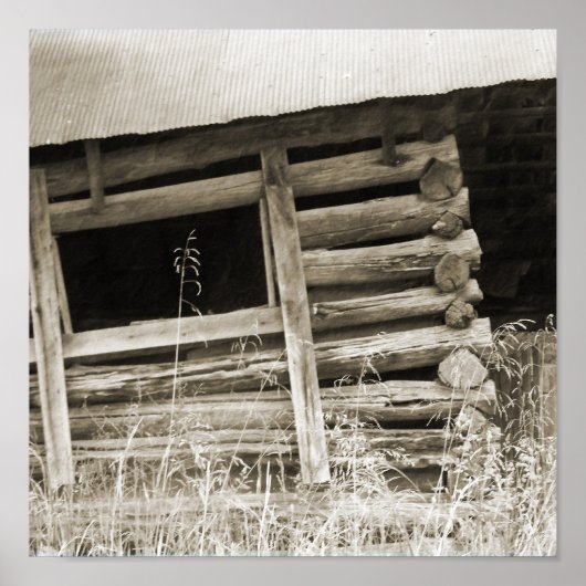 古い丸太小屋 ポスター (正面)
