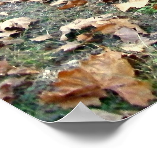 古い乾草の熊手のポスター ポスター (角)