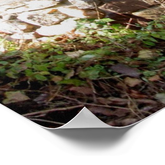 古い井戸 ポスター (角)