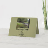 古い公園のベンチ カード (裏面)