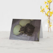 古い分 カード (黄色い花)