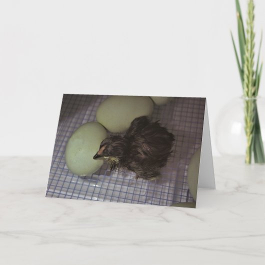 古い分 カード (正面)