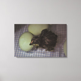 古い分 キャンバスプリント