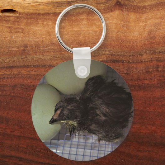 古い分 キーホルダー (正面)