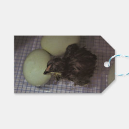 古い分 ギフトタグ