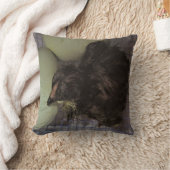 古い分 クッション (ブランケット)