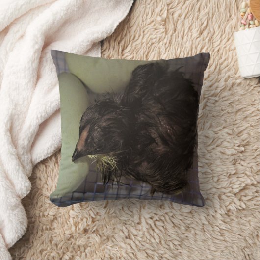 古い分 クッション (ブランケット)