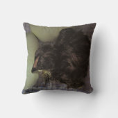 古い分 クッション (裏面)