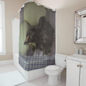 古い分 シャワーカーテン (インサイチュ)