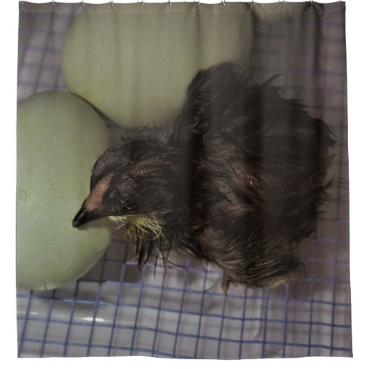 古い分 シャワーカーテン (正面)