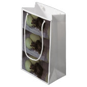 古い分 スモールペーパーバッグ (正面アングル)