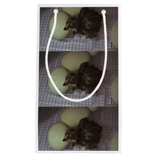 古い分 スモールペーパーバッグ (正面)