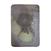 古い分 バスマット (正面縦)