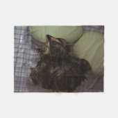 古い分 フリースブランケット (正面(横))