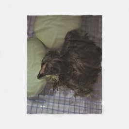 古い分 フリースブランケット