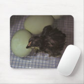 古い分 マウスパッド (マウス)