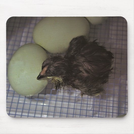 古い分 マウスパッド (正面)