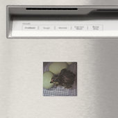 古い分 マグネット (インサイチュ (食洗機))