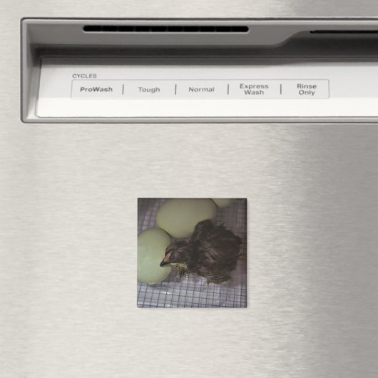 古い分 マグネット (インサイチュ (食洗機))