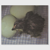 古い分 ラッピングペーパー (フラット)