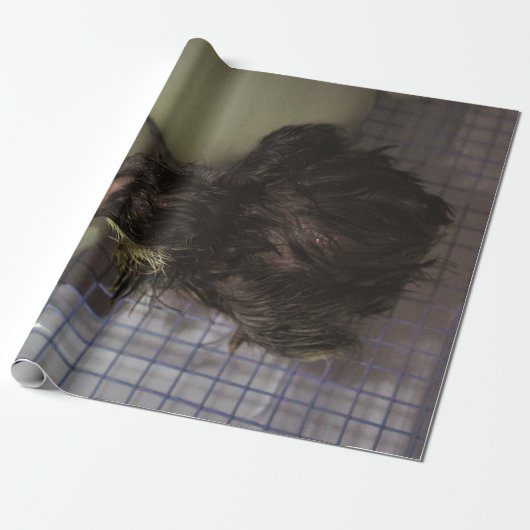 古い分 ラッピングペーパー (アンロールド)