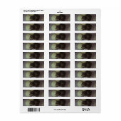 古い分 ラベル (フルシート)