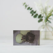 古い分 名刺 (スタンド正面)