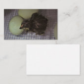 古い分 名刺 (正面/裏面)