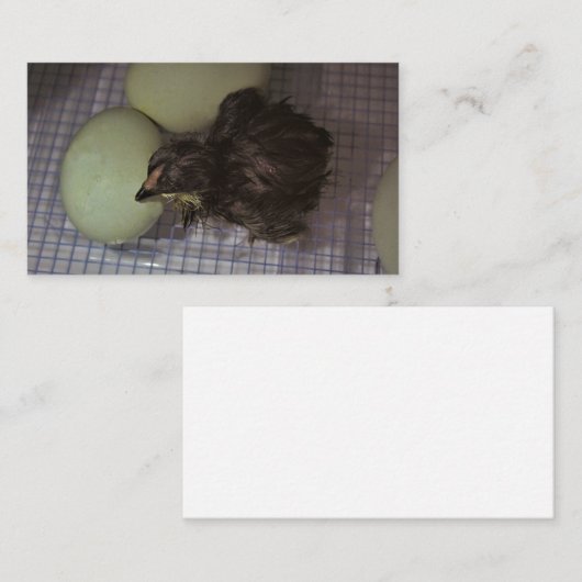 古い分 名刺 (正面/裏面)