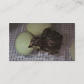 古い分 名刺 (正面)