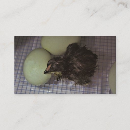 古い分 名刺 (正面)