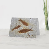 古い化石カードへのハッピーバースデー カード (裏面)