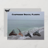 古い化石サメ歯フロリダビーチ財宝 ポストカード (正面/裏面)