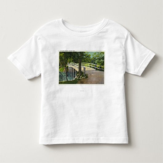 古い北橋の眺め トドラーTシャツ (正面)