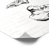 古い医療アート足の人間の解剖骨 ポスター (角)