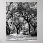 古い南部の歩道 ポスター (正面)