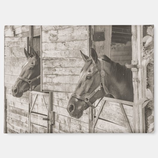 古い厩の馬のマグネット マグネット (正面)