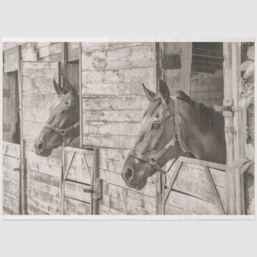 古い厩舎の馬 ティッシュペーパー 薄葉紙 (正面)