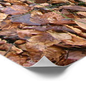 古い地下室のドアラッチ ポスター (角)