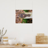 古い地下室のドアラッチ ポスター (キッチン)