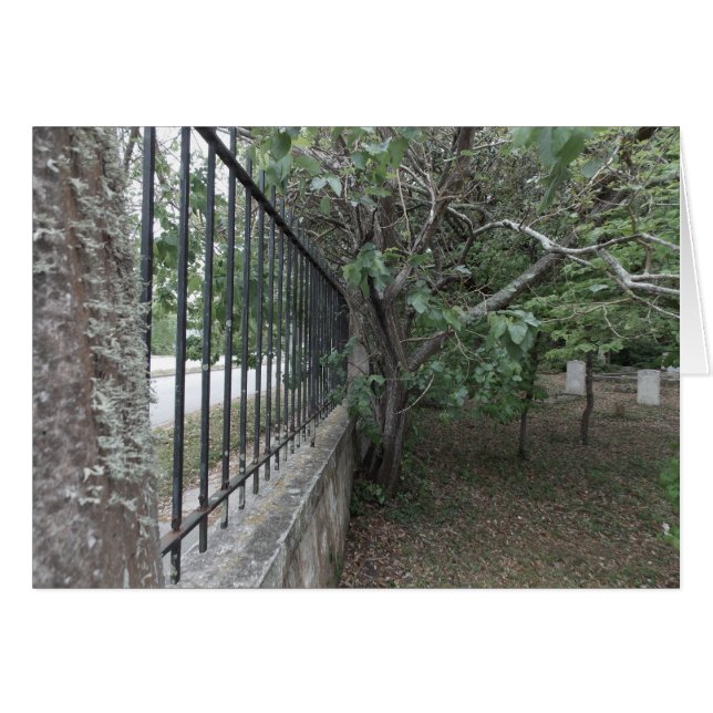 古い埋め込み地 (正面横)