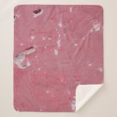 古い壁の傷やクラックのテクスチャ シェルパブランケット (正面)