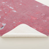 古い壁の傷やクラックのテクスチャ シェルパブランケット (3/4)