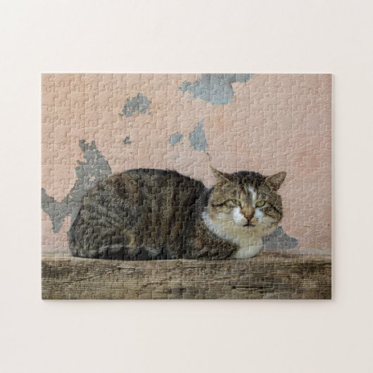 古い壁の前の猫 ジグソーパズル (横)